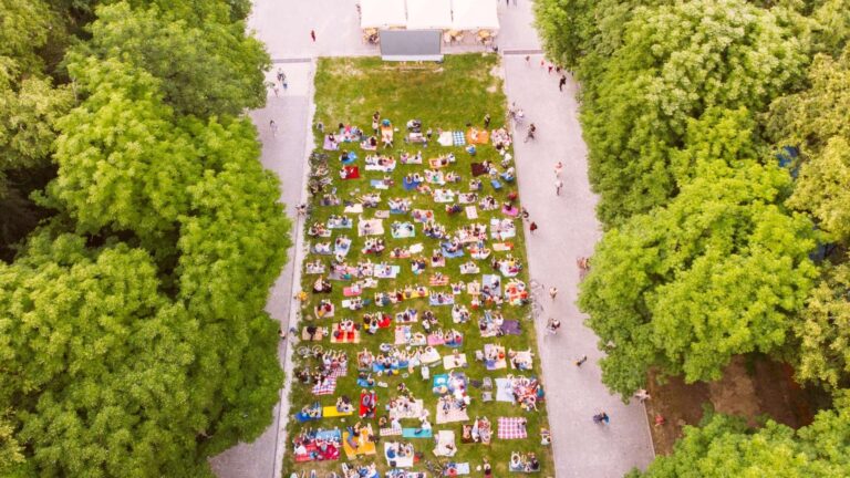 Open-Air-Kinos in Wien